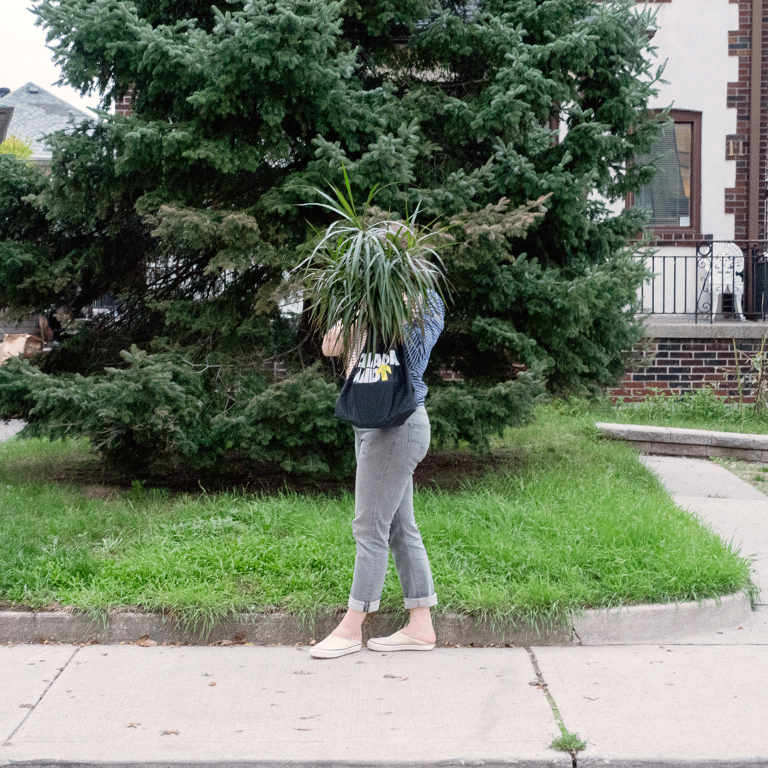 CANADALAND Baggu Tote Bag: Black