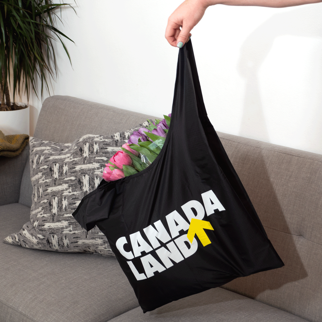 CANADALAND Baggu Tote Bag: Black